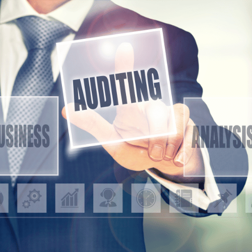 Audit Support